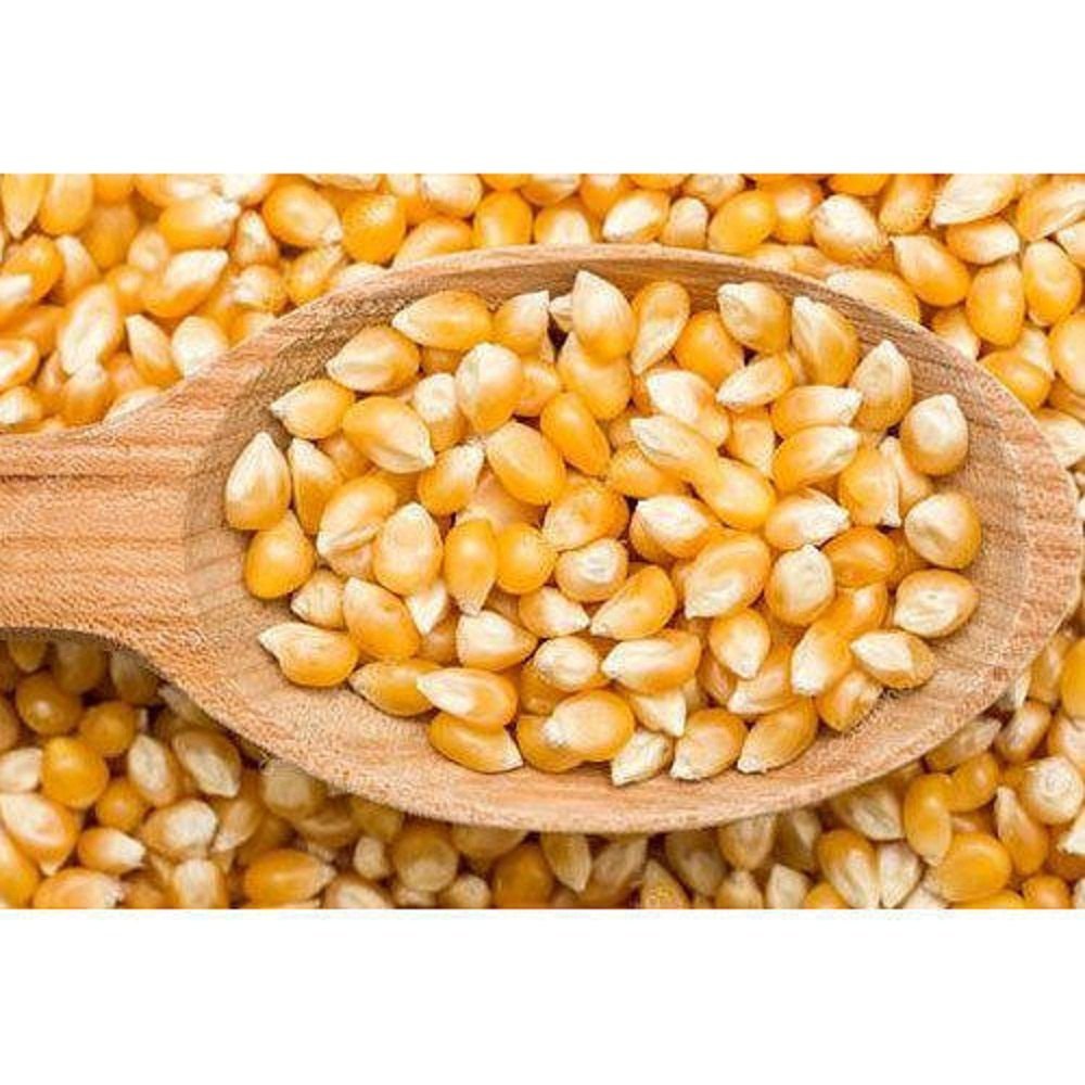 Corn